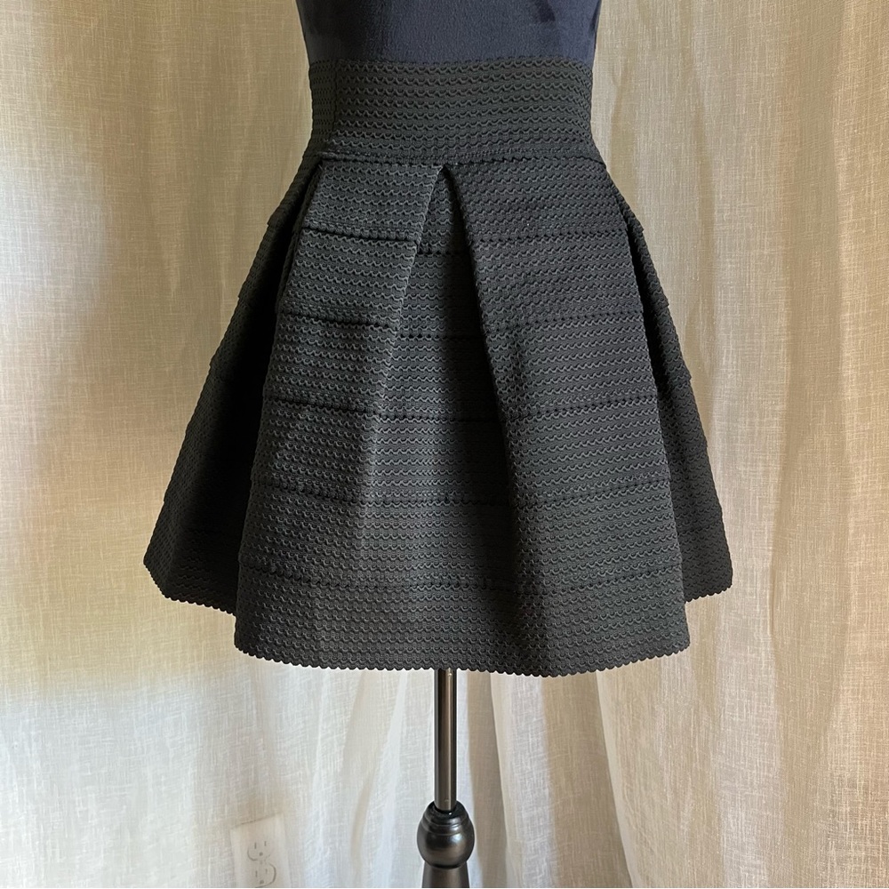 Black Pleated Mini Skirt.
